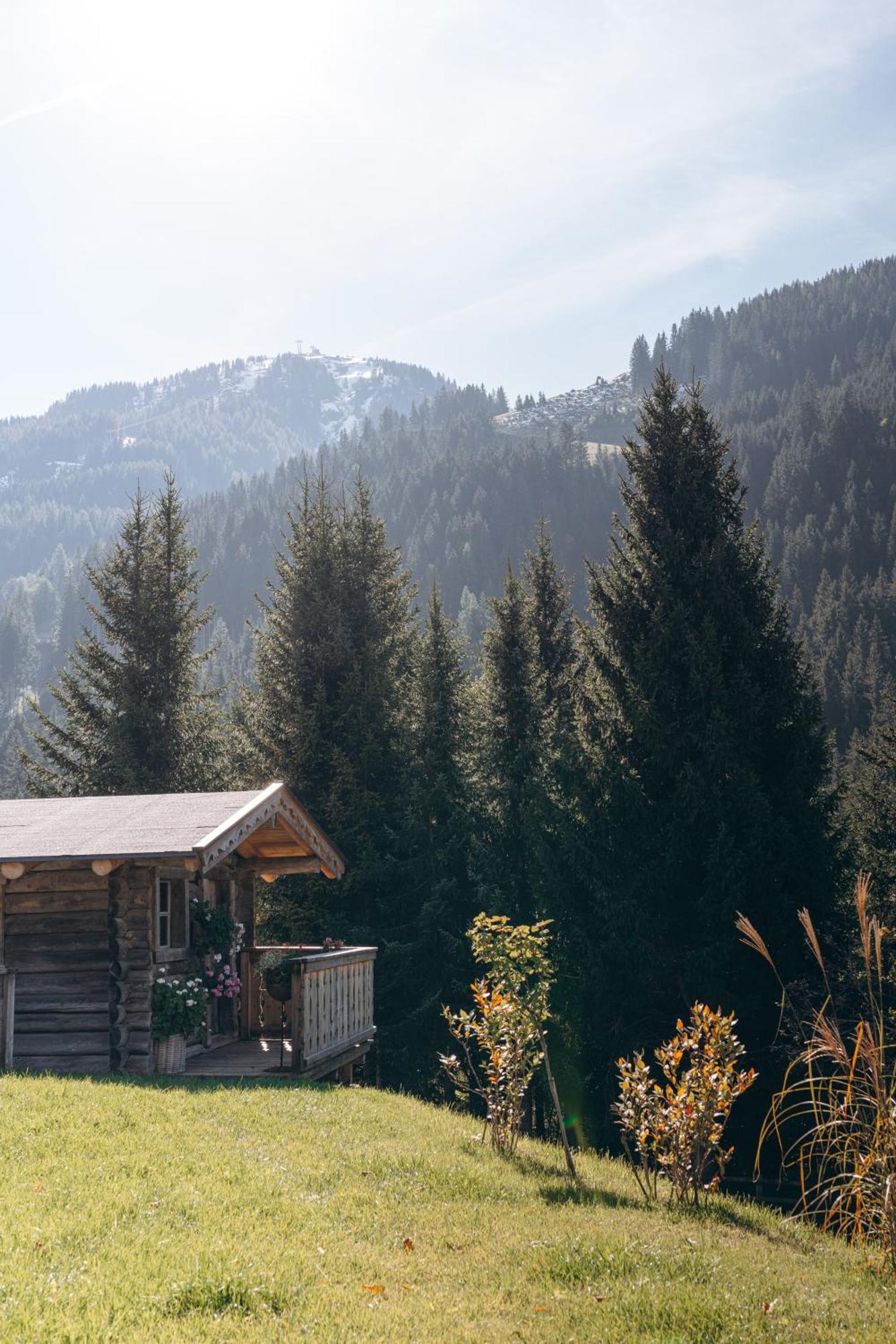 Haus Spieleck Bed & Breakfast Saalbach-Hinterglemm Exterior photo